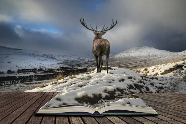 Mooie rode herten hert in de sneeuw bedekt bergketen feestelijke s — Stockfoto