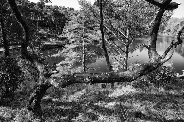 Beautiful landscape image of old clay pit quarry lake in black a — Stock Photo, Image