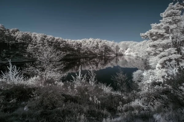 Bella immagine surreale paesaggio a infrarossi colore falso del lago a — Foto Stock