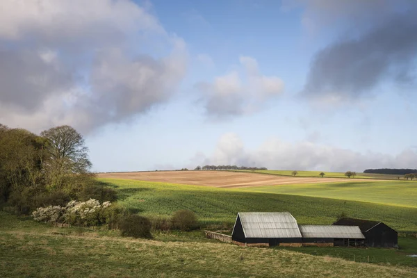 Beautiful agricultural English countryside landscape during earl — Stock Photo, Image