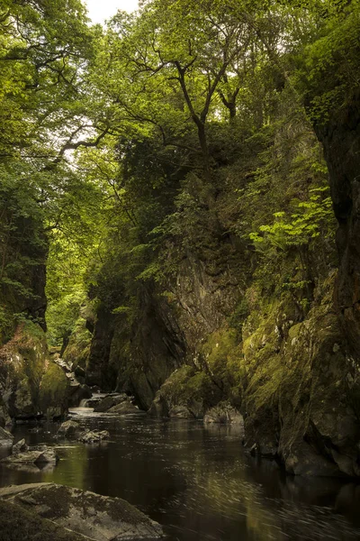 Stunning landscape with river flowing through deep sided gorge w — Stock Photo, Image