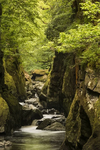 Derin taraflı gorge w akan nehir, çarpıcı yatay — Stok fotoğraf