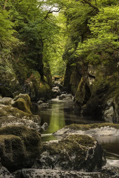 Fantastiska landskap med flod som rinner genom djup dubbelsidig gorge w — Stockfoto