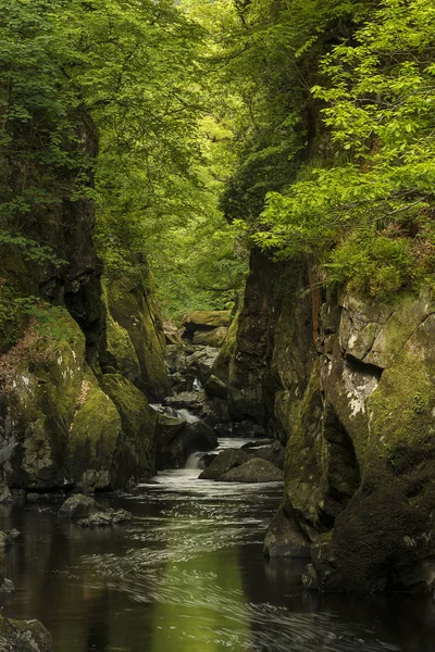 Stunning ethereal landscape of deep sided gorge with rock walls — Stock Photo, Image