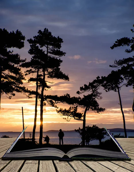 Hermosa silueta puesta del sol de los árboles y el mar en el fondo y p — Foto de Stock