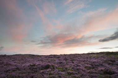 Heather Higger Tor üzerinde çarpıcı şafak gündoğumu manzara görüntü ben