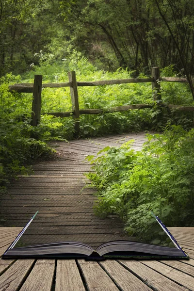 Beautiful landscape image of wooden boardwalk through lush green — Stock Photo, Image