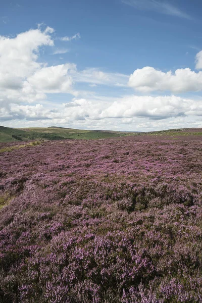 Mooie levendige landschap foto van Burbage rand en rotsen in S — Stockfoto