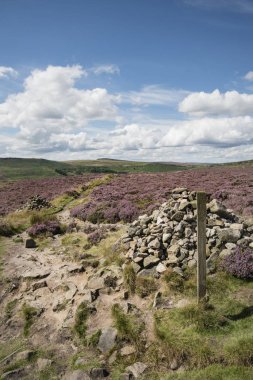 Güzel hareketli manzara resim Burbage kenar ve kayalar s