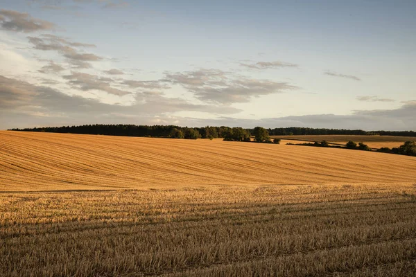 Freshly harvested fields of barley in countryside landscape bath — Stock Photo, Image