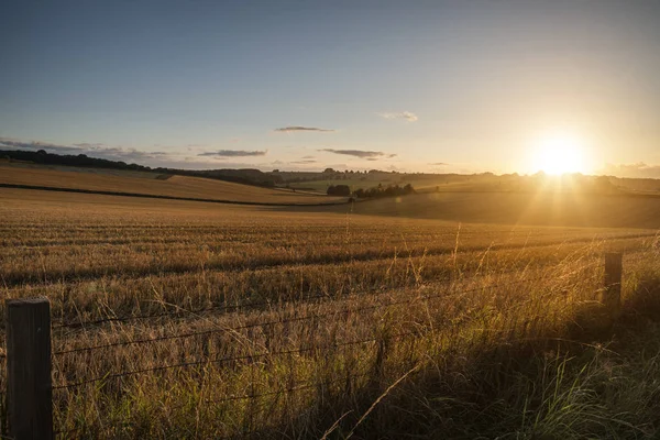 Freshly harvested fields of barley in countryside landscape bath — Stock Photo, Image