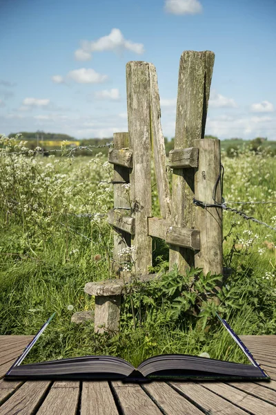 Krásné zářivé anglický venkov krajina v idylické sunsh — Stock fotografie