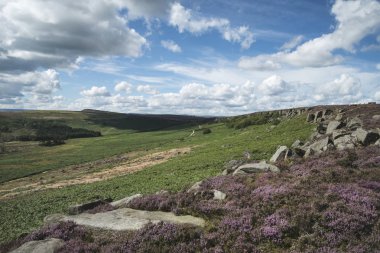 Güzel hareketli manzara resim Burbage kenar ve kayalar s