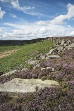 Güzel hareketli manzara resim Burbage kenar ve kayalar s