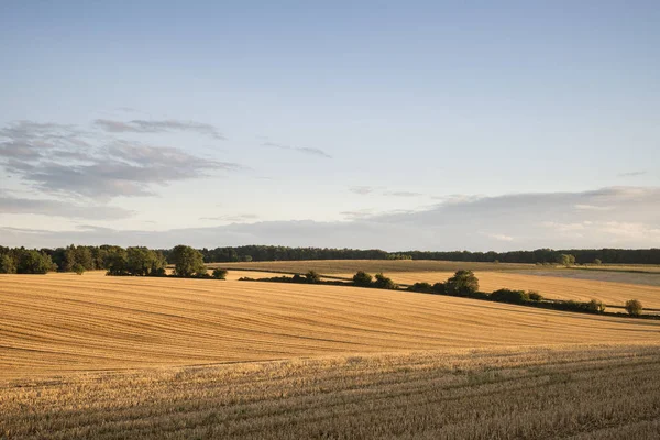 Freshly harvested fields of barley in countryside landscape bath — Stock Photo, Image