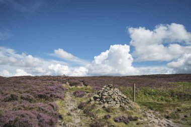 Güzel hareketli manzara resim Burbage kenar ve kayalar s