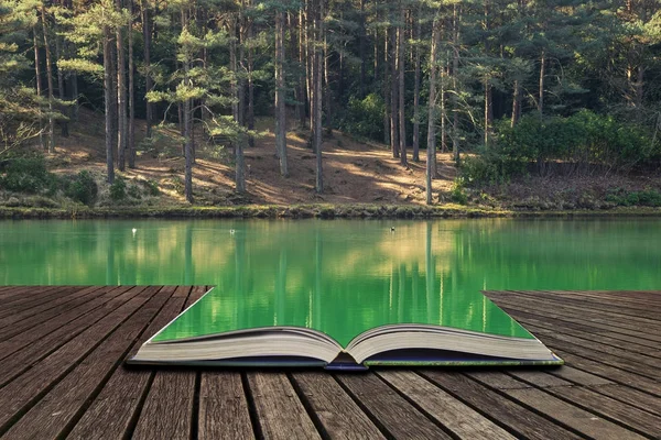 Schöne lebendige Landschaft Bild der alten Tongrube Baggersee wi — Stockfoto