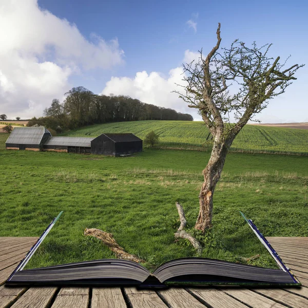 Bela paisagem rural agrícola inglesa durante o conde — Fotografia de Stock