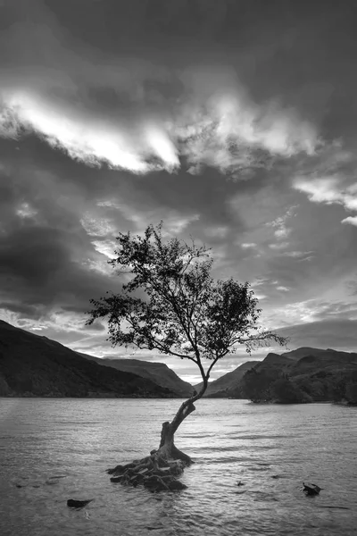 Černá a bílá krásná krajina obraz Llyn Padarn na sunr — Stock fotografie