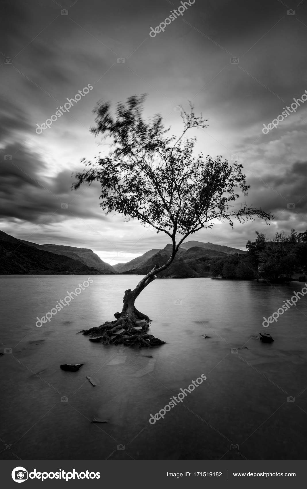 Black and white Beautiful landscape image of Llyn Padarn at sunr Stock ...