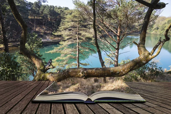 Imagem paisagem vibrante bonita do lago pedreira poço de argila velha wi — Fotografia de Stock