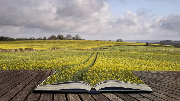 Bela paisagem rural agrícola inglesa durante o conde — Fotografia de Stock