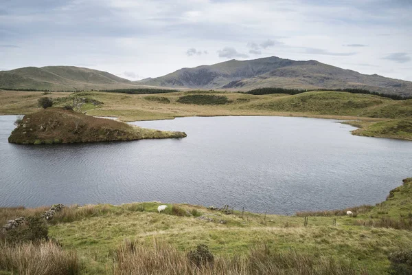 Akşam manzara resim Sn sonbaharda Llyn y Dywarchen Gölü — Stok fotoğraf