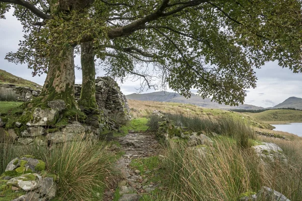 Imagem da paisagem noturna do lago Llyn y Dywarchen no outono em Sn — Fotografia de Stock