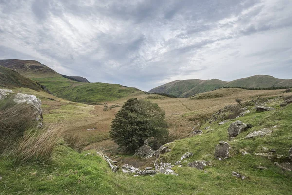 Imagem da paisagem noturna do lago Llyn y Dywarchen no outono em Sn — Fotografia de Stock