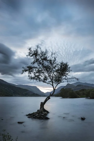 Beautiful landscape image of Llyn Padarn at sunrise in Autumn in — Stock Photo, Image
