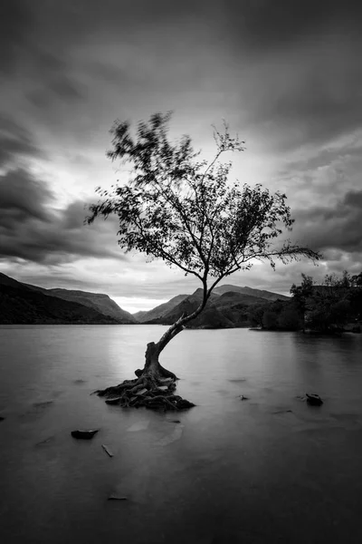 Preto e branco Imagem bonita paisagem de Llyn Padarn no sunr — Fotografia de Stock