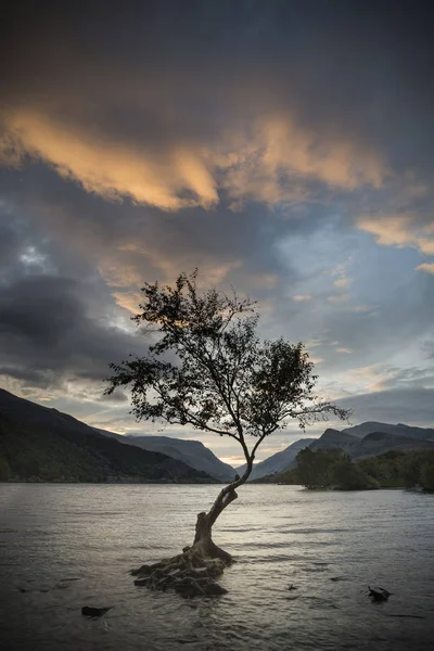 Beautiful landscape image of Llyn Padarn at sunrise in Autumn in — Stock Photo, Image