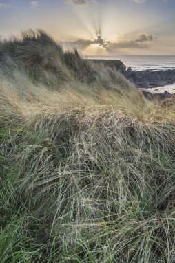 Güzel manzara görüntüsü ile kum dun tatlı su West Beach