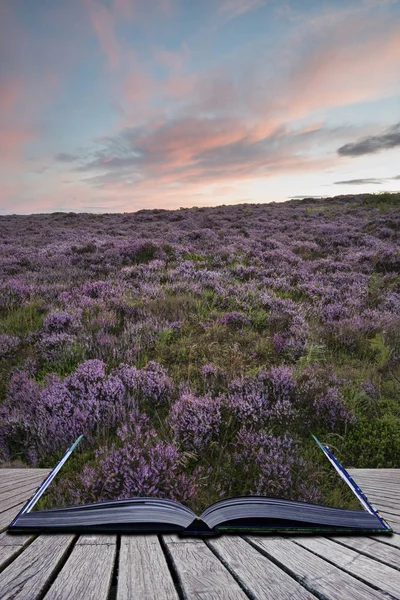 Lenyűgöző dawn sunrise táj képe a Higger Tor heather azt — Stock Fotó