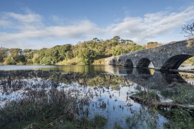 Pembroke göllerde Bosherston güzel sonbahar manzara görüntüsü