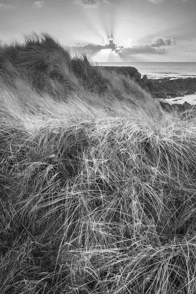 Beautiful black and white landscape image of Freshwater West bea