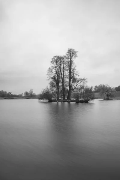 Belle image de paysage noir et blanc de l'arbre sur l'île en l — Photo