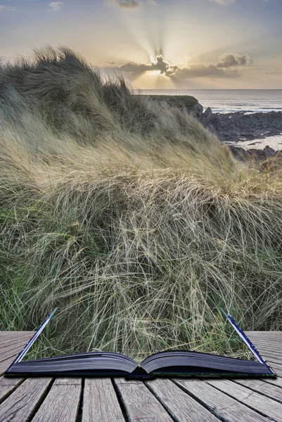 Vackra landskapet bilden av sötvatten västra strand med sand dun — Stockfoto