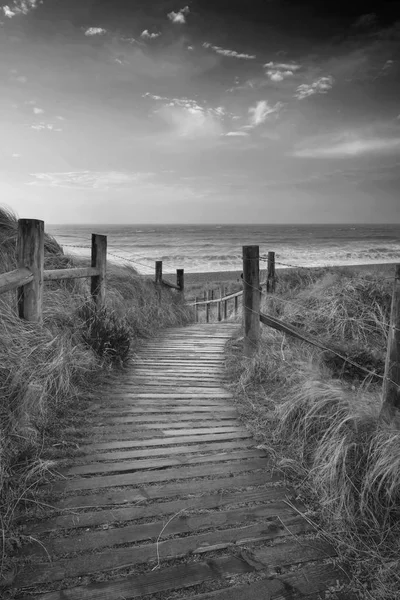 Hermosa imagen de paisaje de amanecer blanco y negro de dunas de arena —  Fotos de Stock