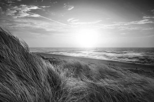 모래 언덕의 아름 다운 흑백 일출 풍경 이미지 — 스톡 사진