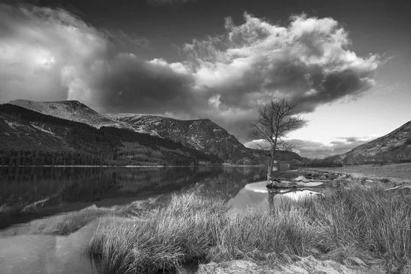 Splendida immagine del paesaggio alba in bianco e nero in inverno di L — Foto Stock