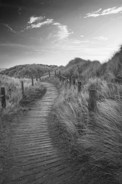 Hermosa imagen de paisaje de amanecer blanco y negro de dunas de arena —  Fotos de Stock