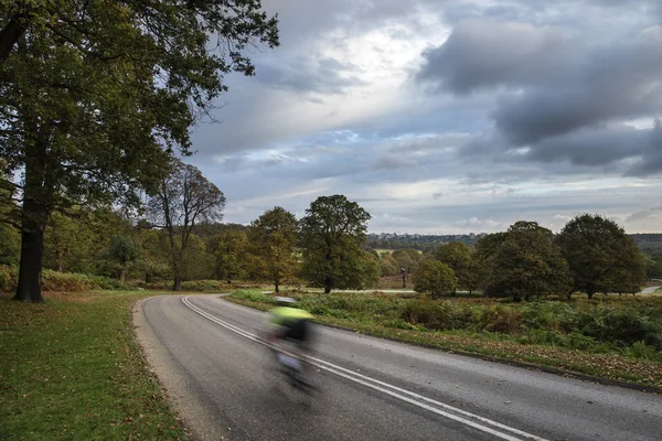 Cyklist i vackra Richmond Park i höst — Stockfoto