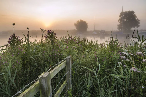 Landscape view across field to foggy River Thurne during glowing — Stock Photo, Image