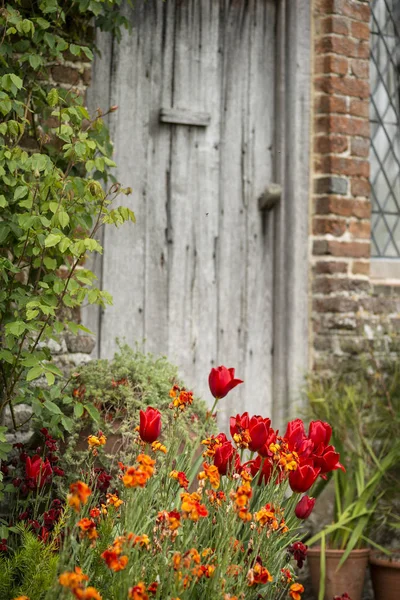Quintessenz lebendige englische Country Garden Scene Landschaft wi — Stockfoto