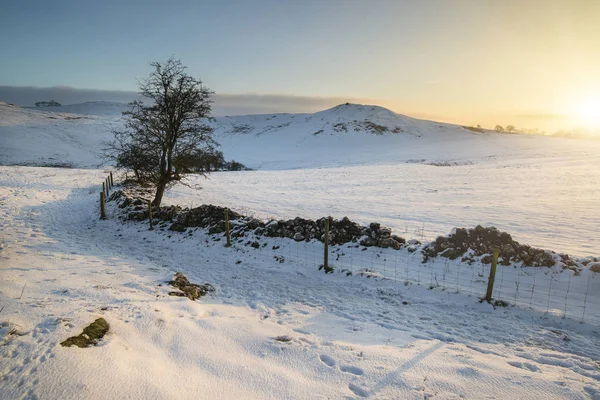 Beautiful snow covered Winter landscape at sunrise in Peak Distr — Stock Photo, Image