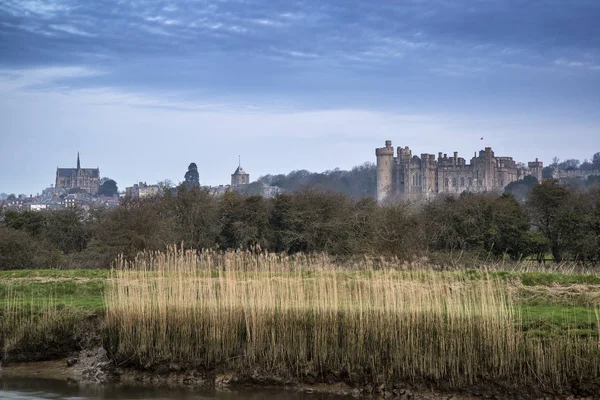 Obraz krajiny středověkého hradu přes řeku a rákosí na dus — Stock fotografie