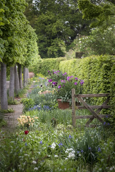 Quintessential vibrant English country garden scene landscape wi — Stock Photo, Image