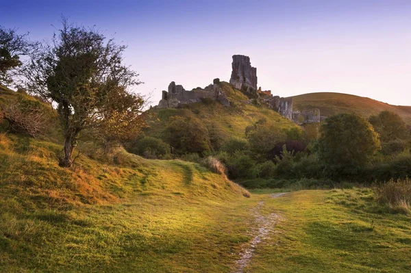 Oude kasteelruïne middeleeuwse in het bruisende zomer zonsopgang landschap im — Stockfoto