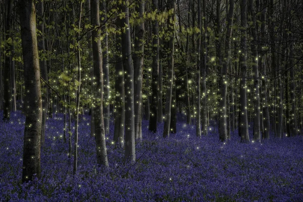 Beautiful fantasy image of fireflies glowing in dusk landscape i — Stock Photo, Image